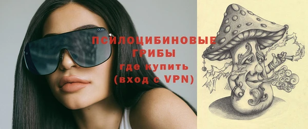 ГАЛЛЮЦИНОГЕННЫЕ ГРИБЫ Краснотурьинск