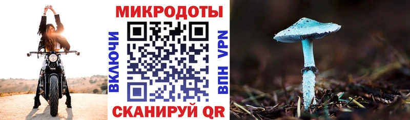 Купить где  Рузаевка  Галлюциногенные грибы мицелий 